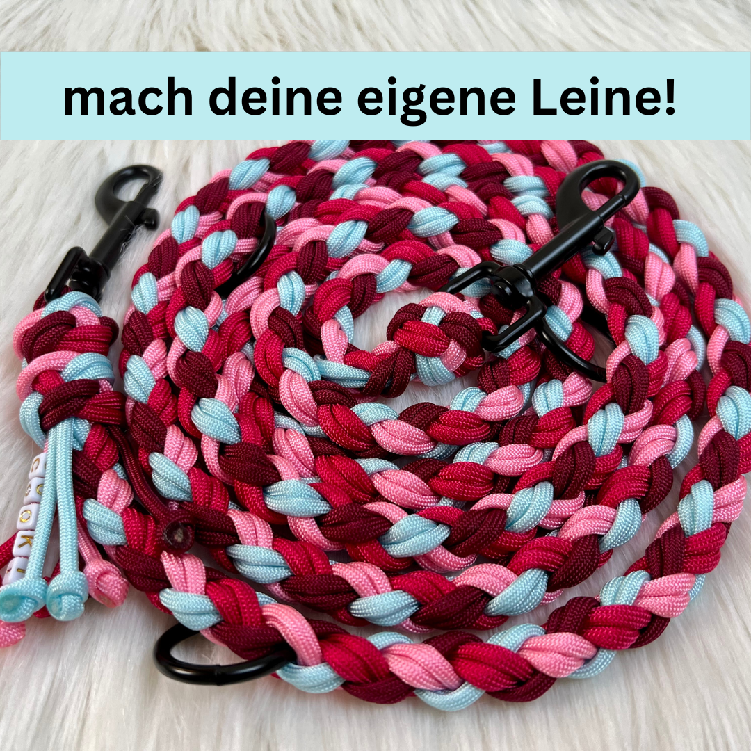 Paracord Leine mit Schritt-für-Schritt Anleitung selber machen - DIY Set