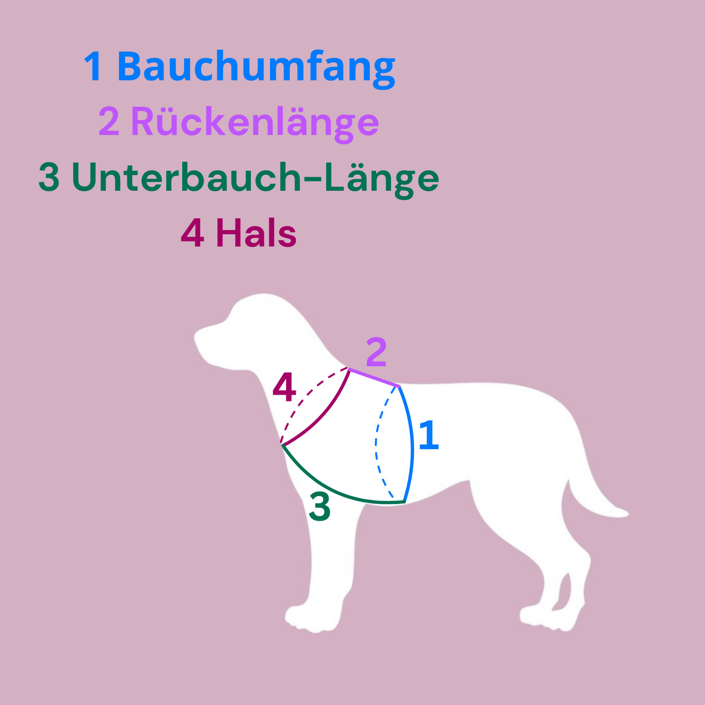 Biothane Geschirr